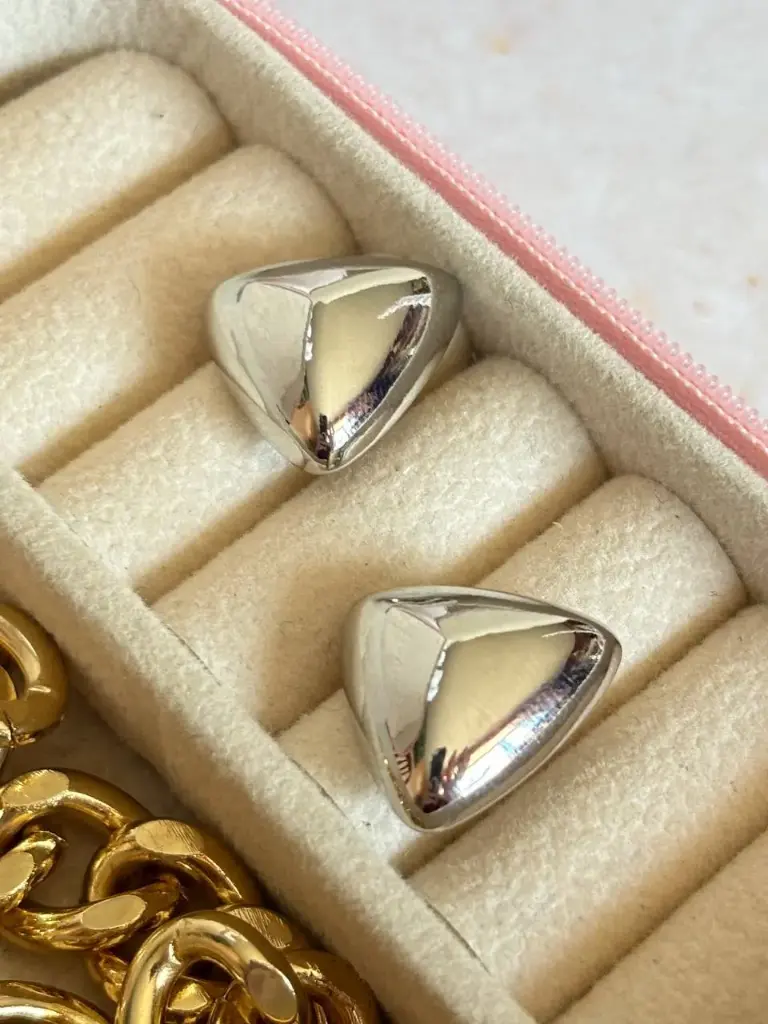 Zarcillos Genesis Silver
