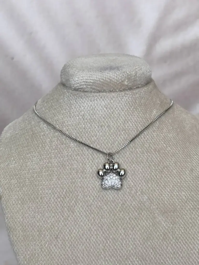 Collar Pet Silver