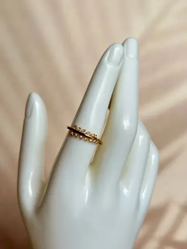 [CA-000291] Anillo Elia
