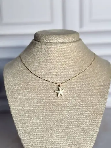 [CA-000487] Collar Estrella Gold