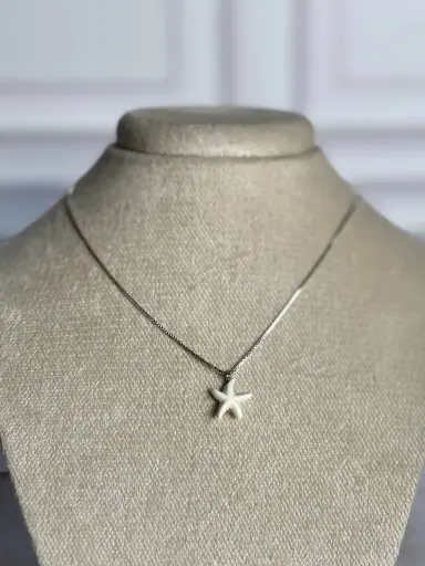 [CA-000488] Collar Estrella Silver