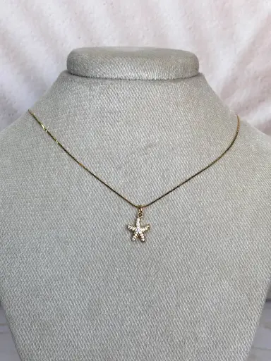 [CA-000537] Collar Hawaii