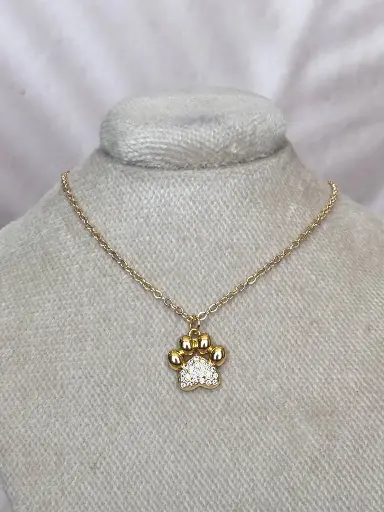 [CA-000546] Collar Pet Gold